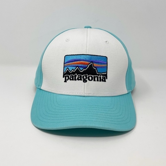 Patagonia '73 Logo Roger That Snapback Hat
